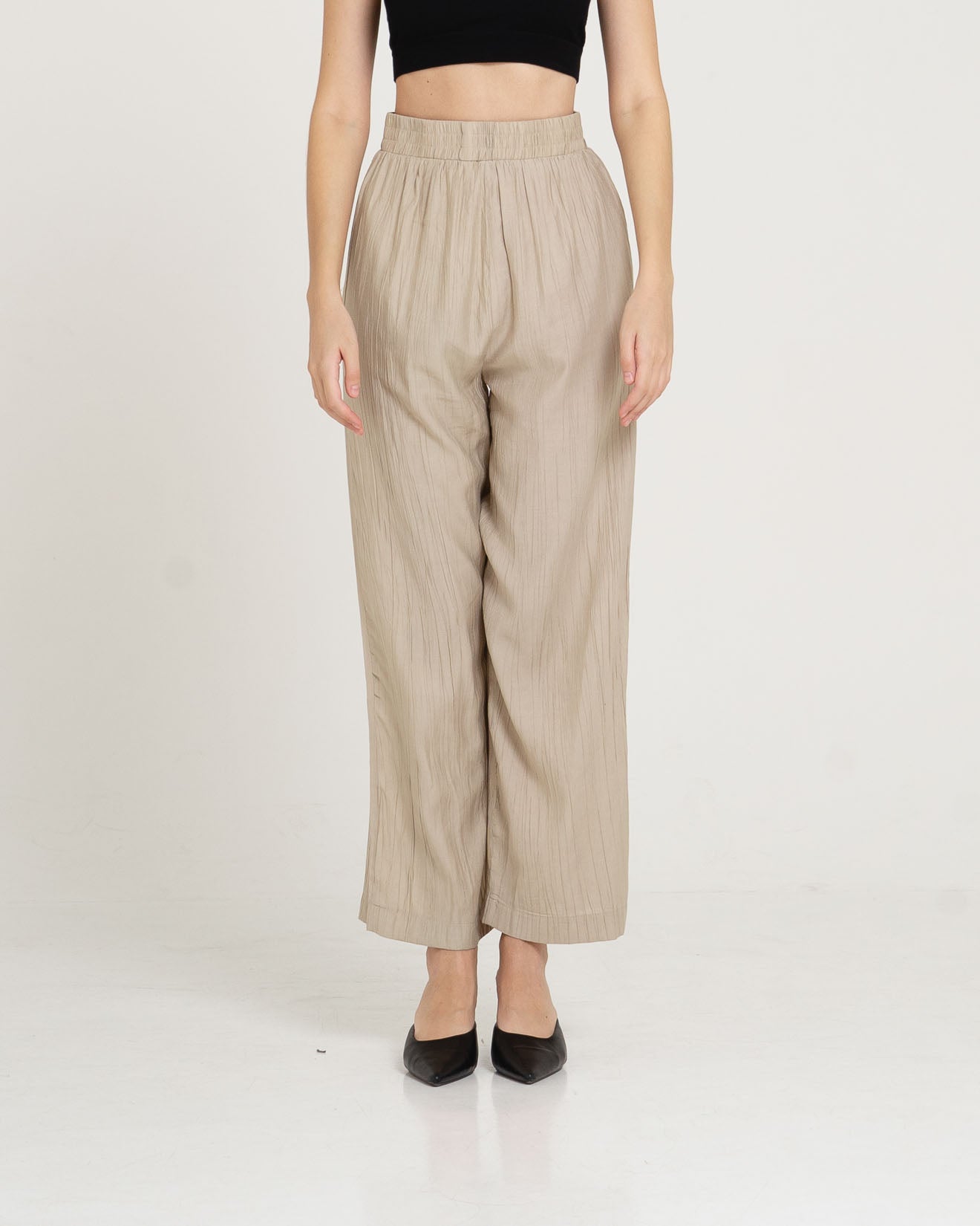Vidi Pleats Taupe Pants – 286900