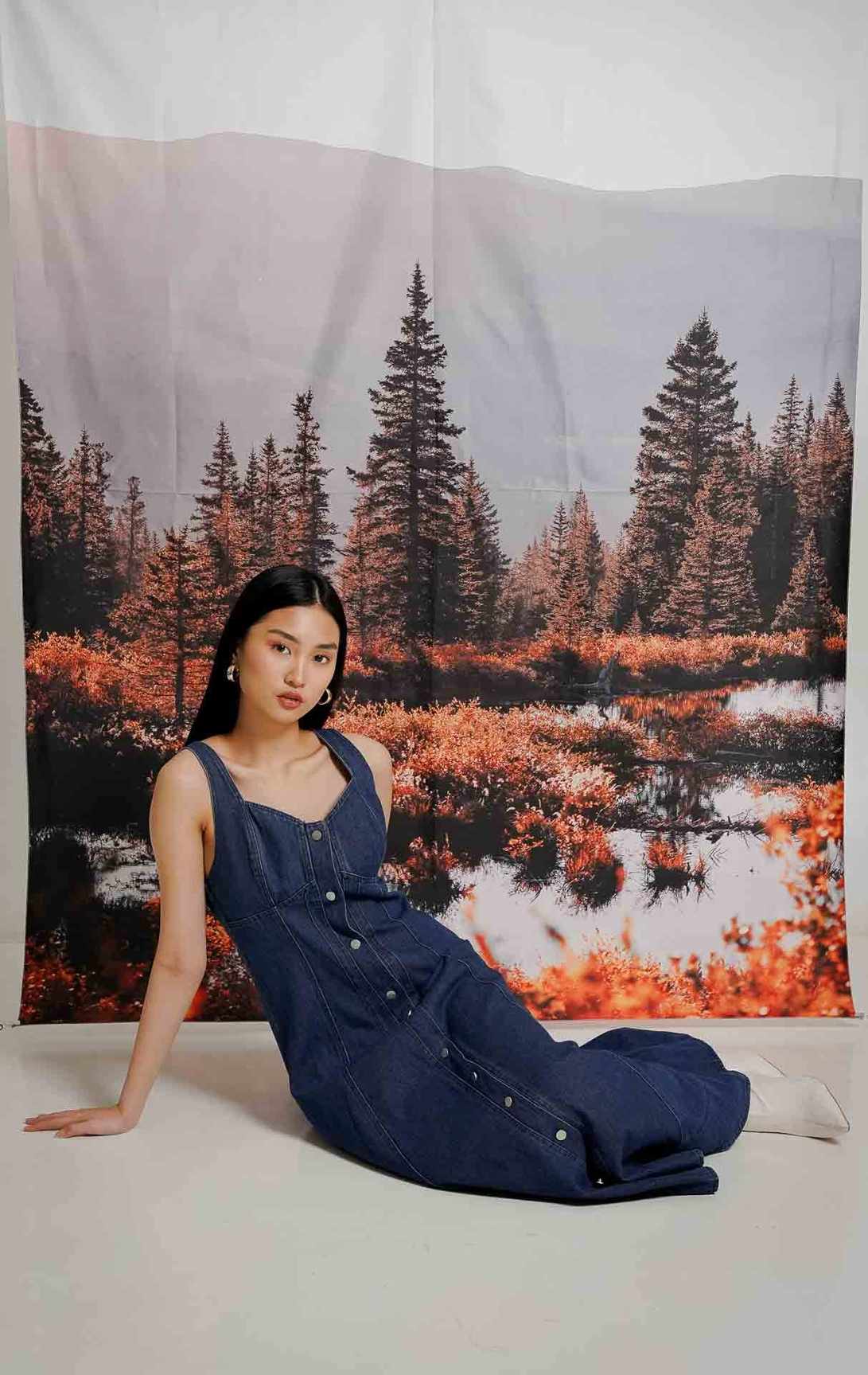 Charlotte Dress Denim