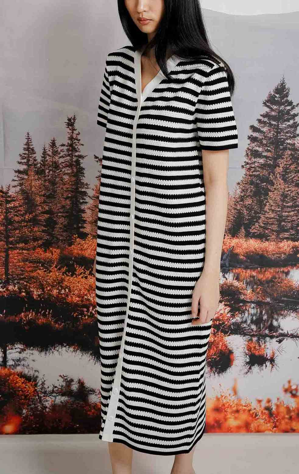 Syella Dress Black Striped