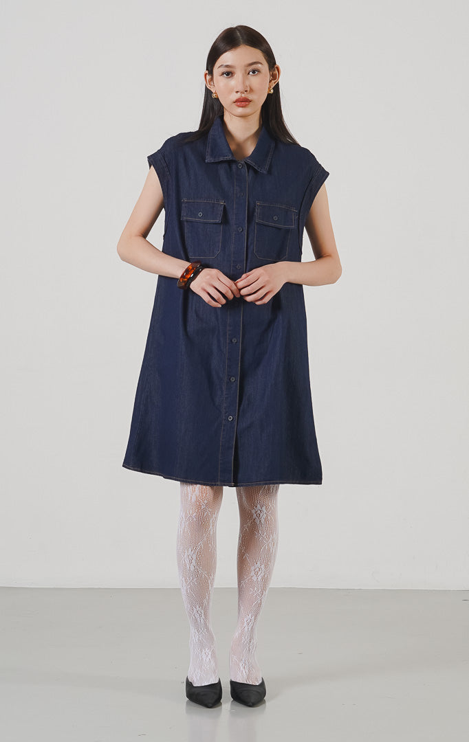 Evian Dress Denim