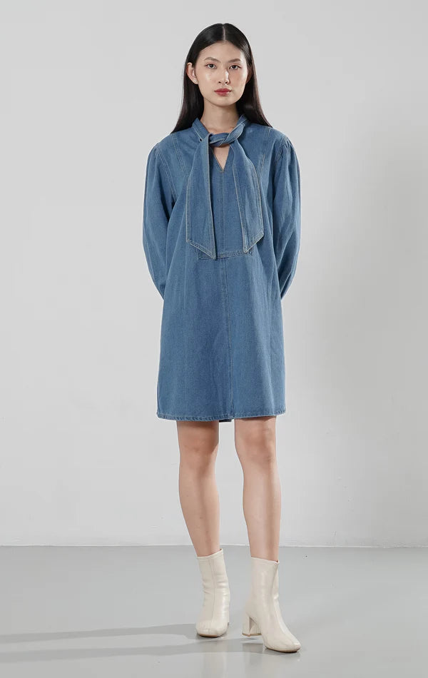 Amaleeya Dress Denim