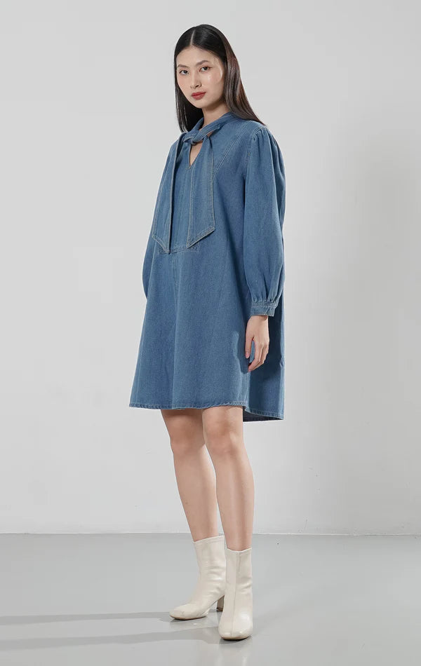Amaleeya Dress Denim