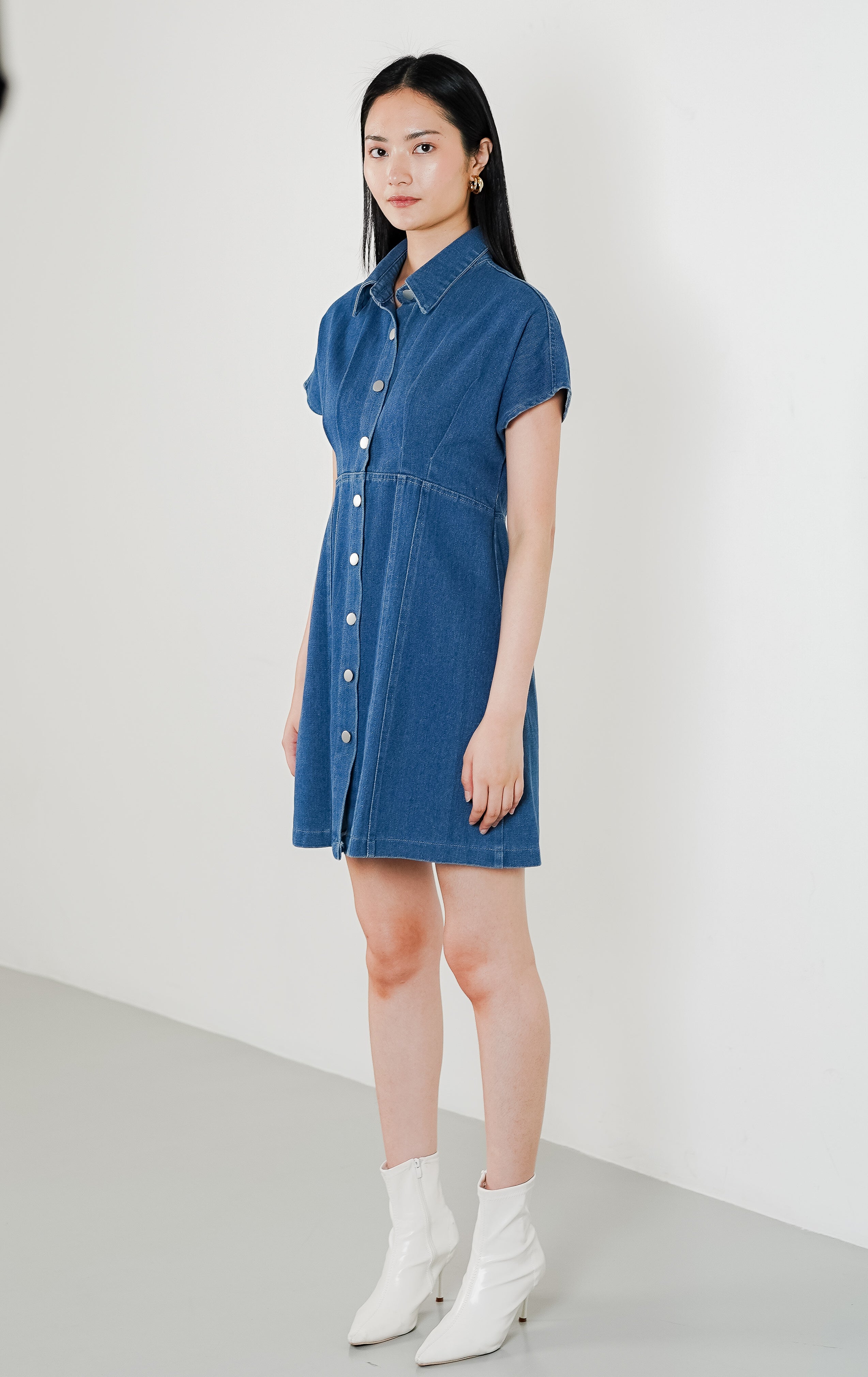 Brissa Dress Denim