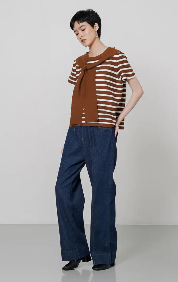 Alicia Top Brown Striped