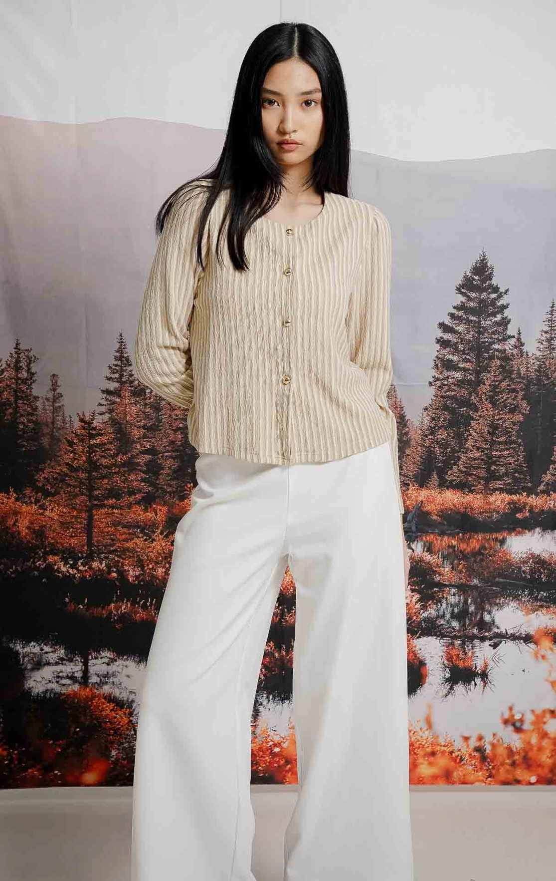 Calianna Top Brown Striped