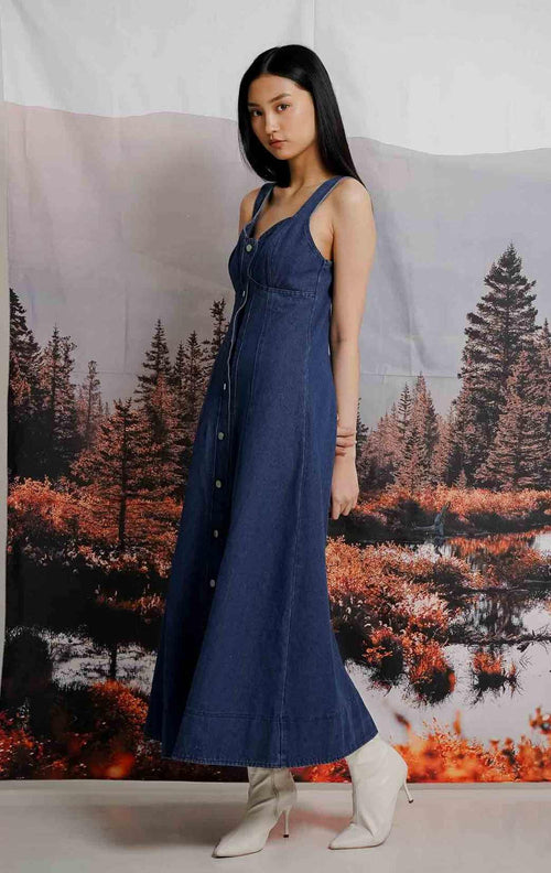 Charlotte Dress Denim