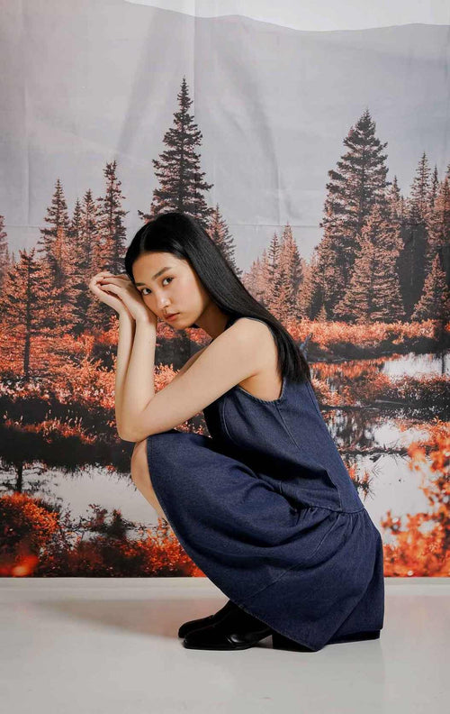 Gisela Dress Denim