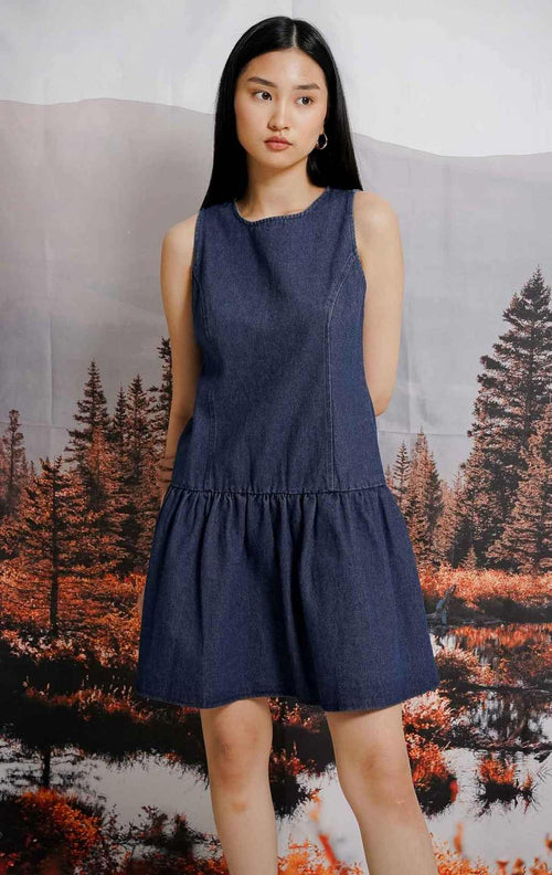 Gisela Dress Denim