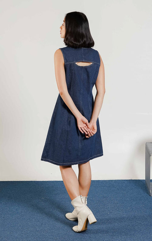 Aurel Dress Denim